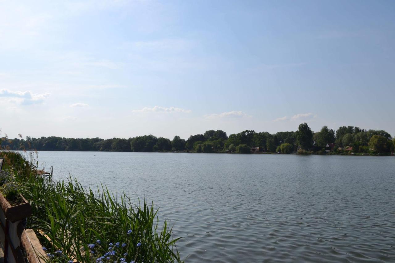 Apartment Neptun2 Domsod